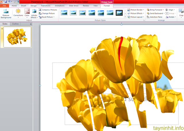 Cách xóa, chỉnh sửa hình nền trong POWERPOINT 2010