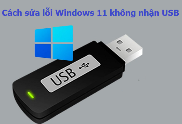 Cách sửa lỗi Windows 11 không nhận Thiết Bị, USB